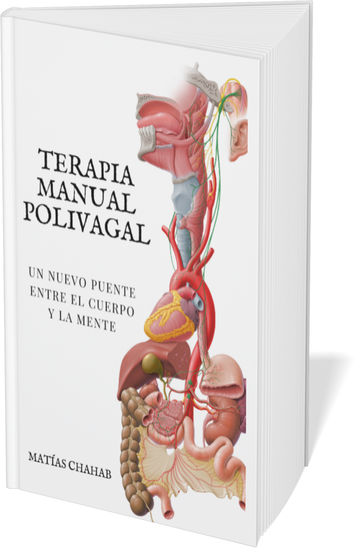 Portada Libro TERAPIA MANUAL POLIVAGAL: UN NUEVO PUENTE ENTRE CUERPO Y MENTE (Spanish Edition)