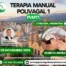 Cartel curso Terapia Manual Polivagal PVMT1 Córdoba